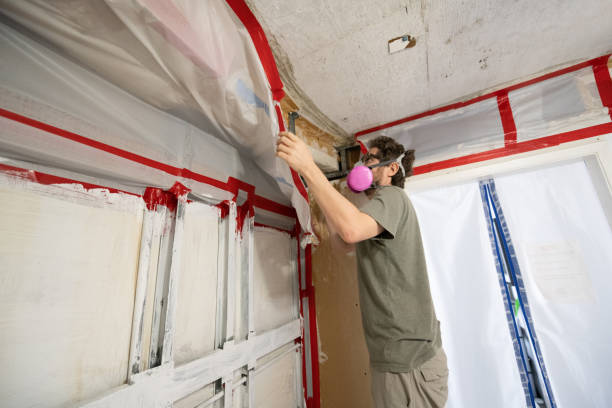 Best Commercial Mold Inspection  in Shingletown, CA